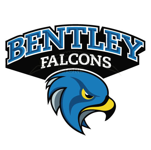 Customs Bentley Falcons 2013 Pres Secondary Iron-on Transfers (Wall Stickers)NO.3998